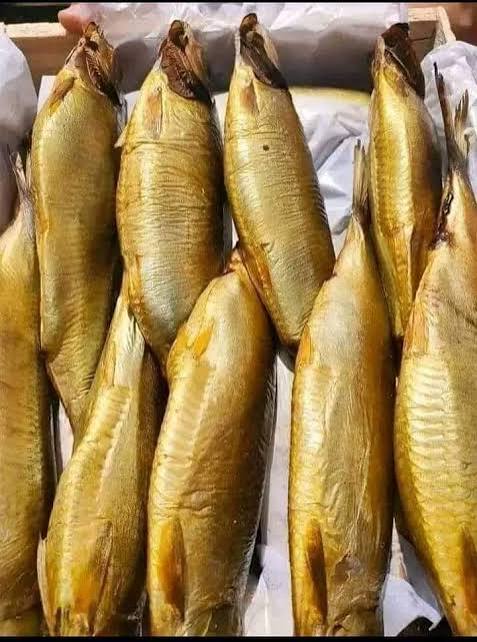 رنجة جهوره الغربية